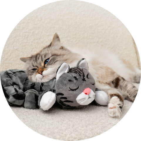 Pets Know Best® all-in-one pet care