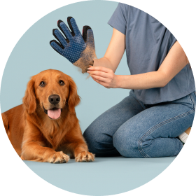 Pets Know Best® grooming benefits